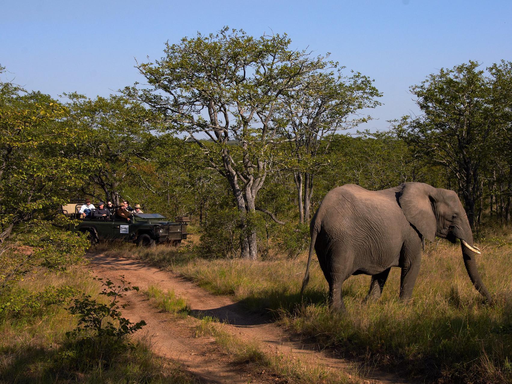 Shindzela Tented Camp Timbavati Game Reserve Exterior photo