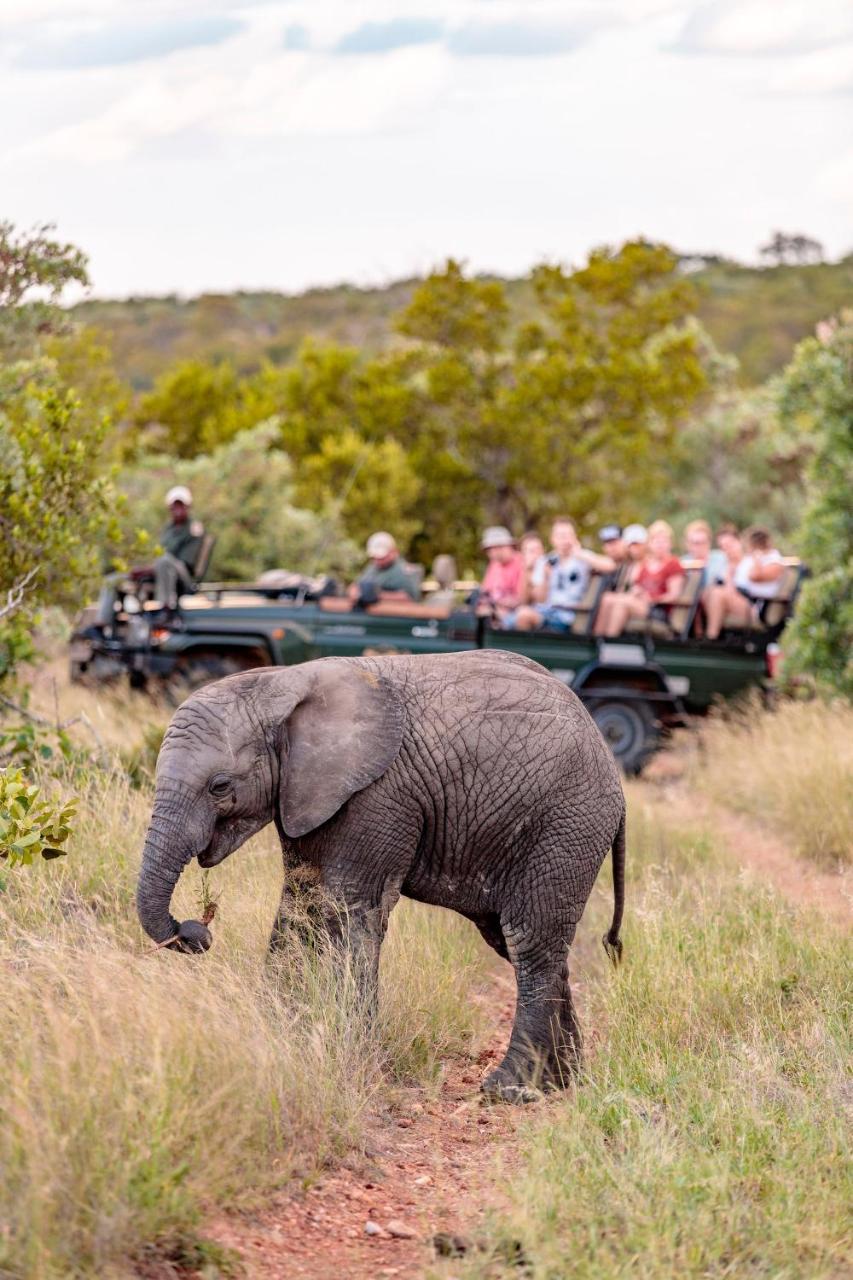 Shindzela Tented Camp Timbavati Game Reserve Exterior photo