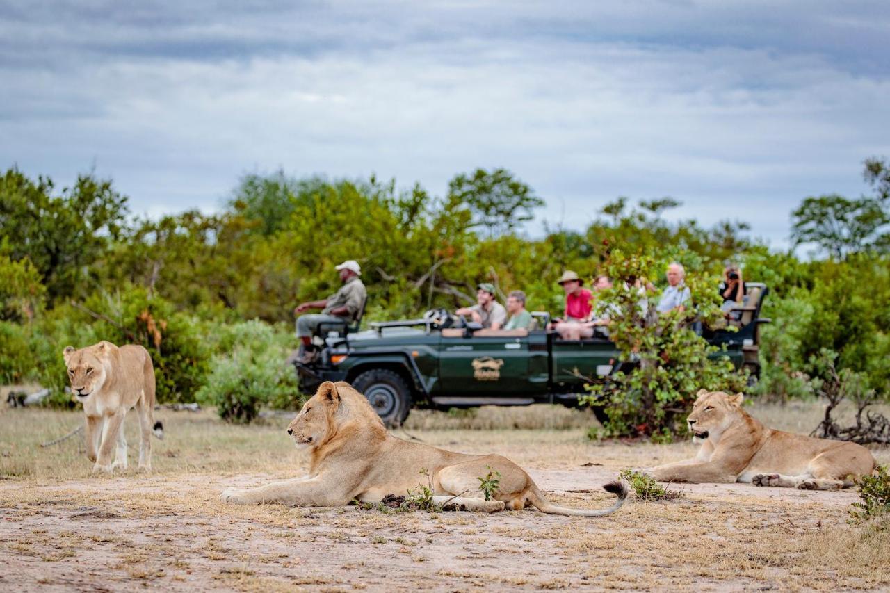 Shindzela Tented Camp Timbavati Game Reserve Exterior photo