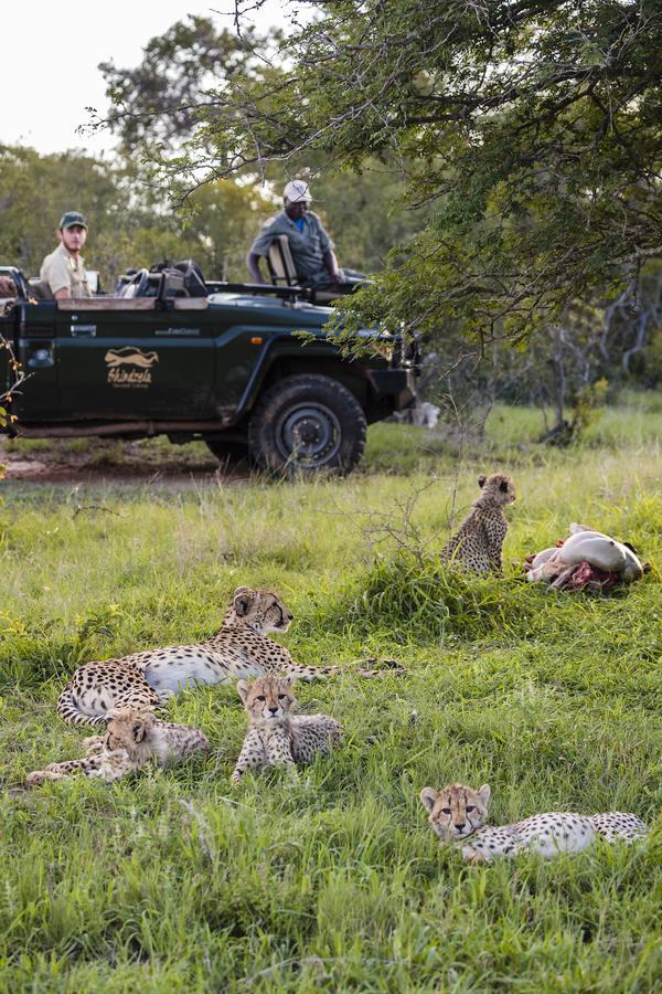 Shindzela Tented Camp Timbavati Game Reserve Exterior photo