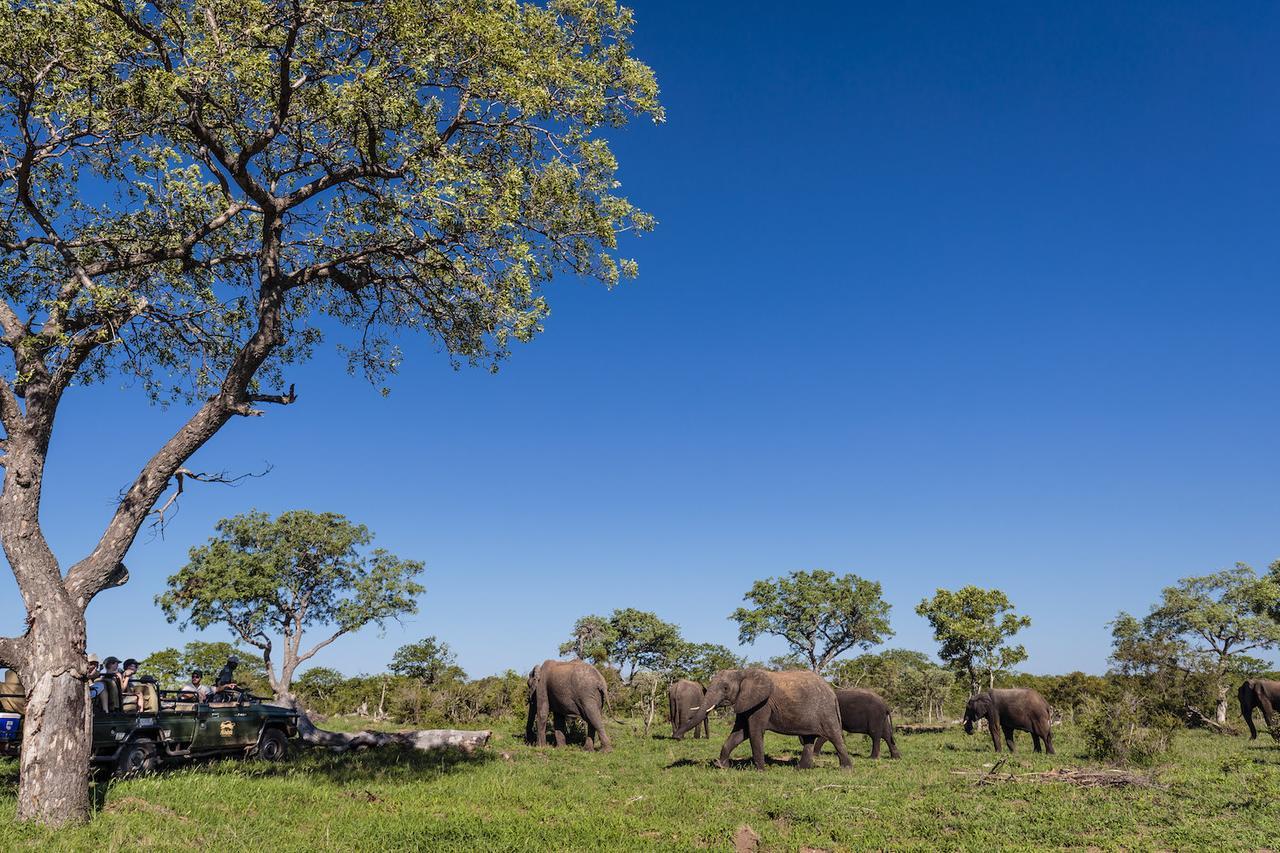 Shindzela Tented Camp Timbavati Game Reserve Exterior photo