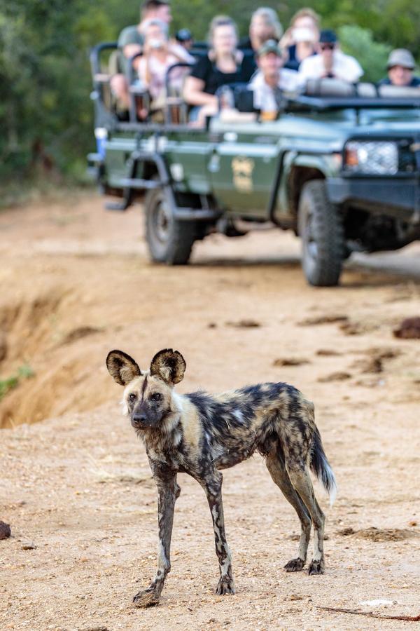Shindzela Tented Camp Timbavati Game Reserve Exterior photo