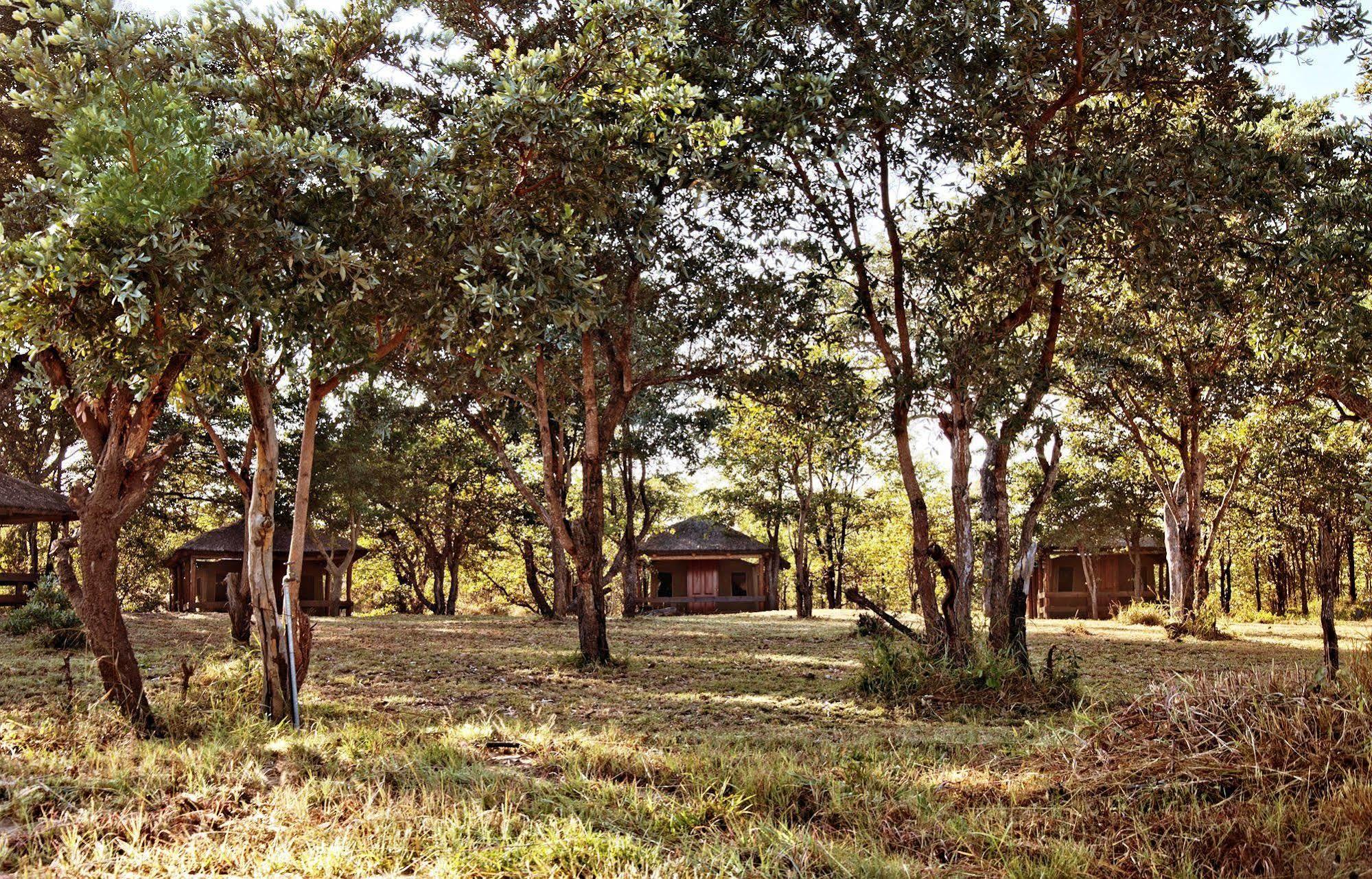 Shindzela Tented Camp Timbavati Game Reserve Exterior photo