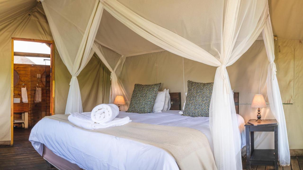 Shindzela Tented Camp Timbavati Game Reserve Exterior photo