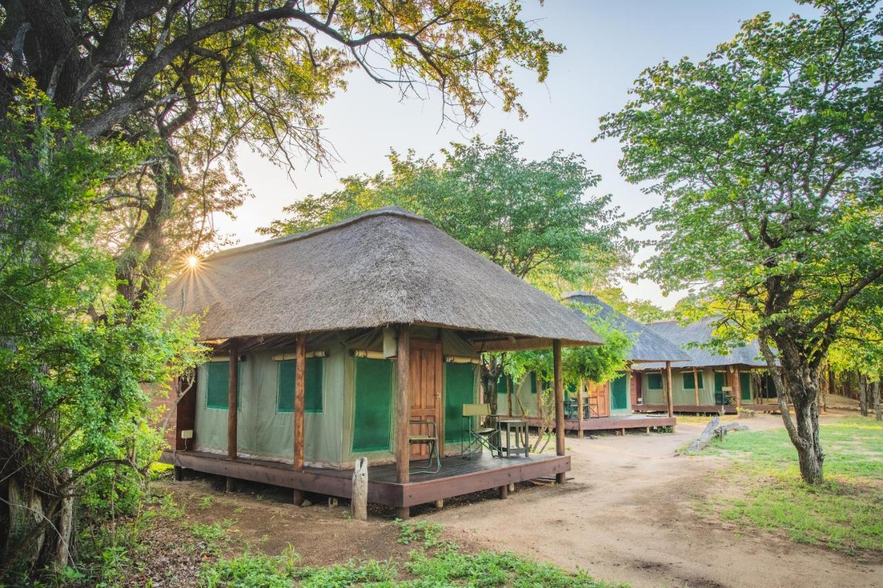 Shindzela Tented Camp Timbavati Game Reserve Exterior photo