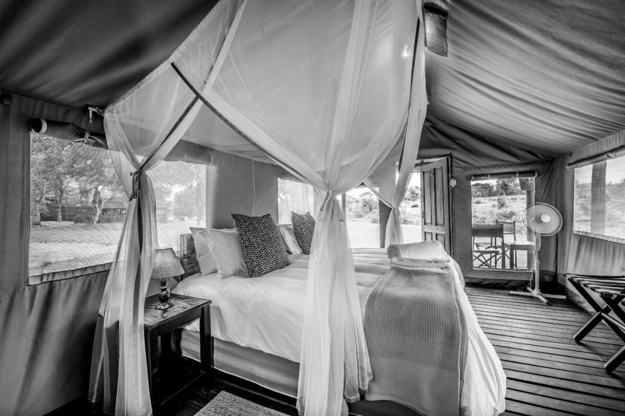 Shindzela Tented Camp Timbavati Game Reserve Exterior photo