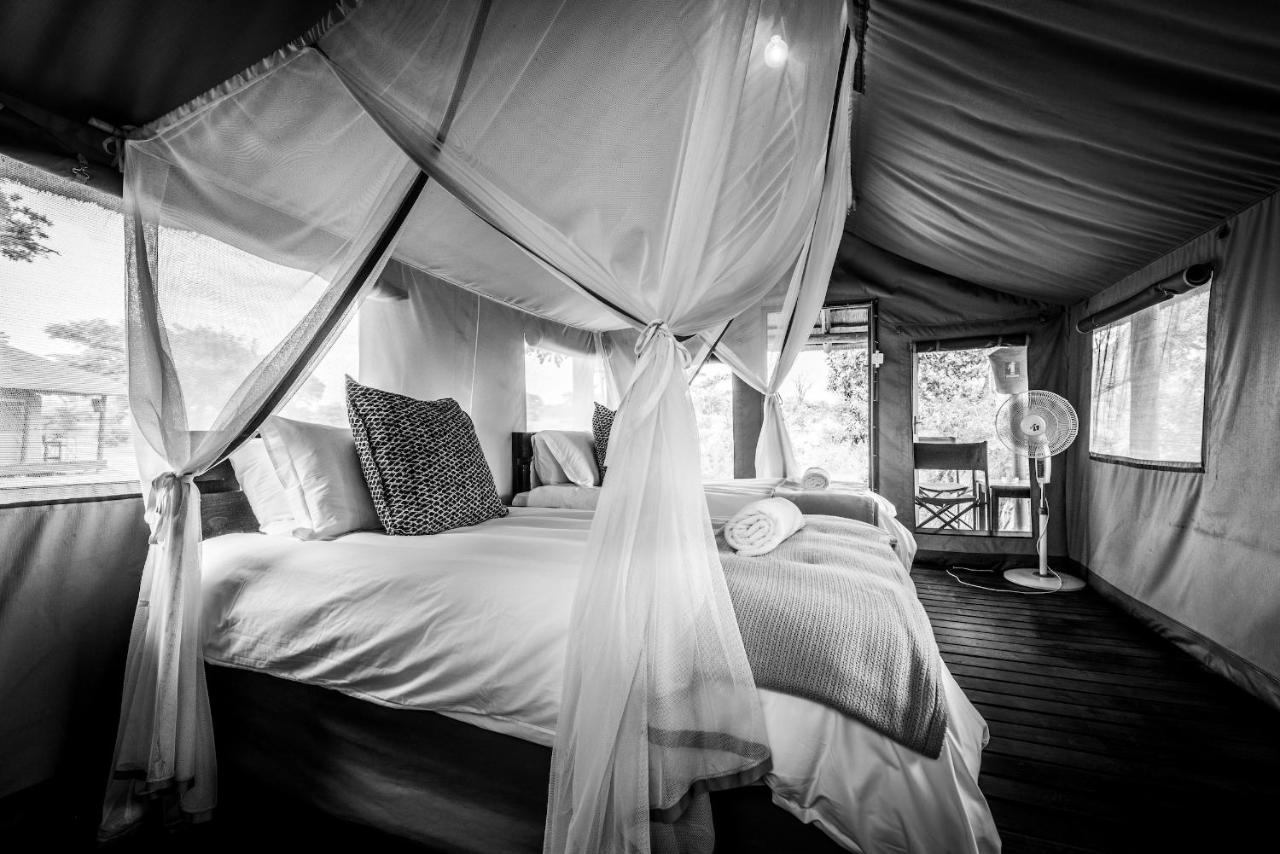 Shindzela Tented Camp Timbavati Game Reserve Exterior photo